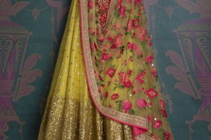 Latest Fashion Trends-Light Weight Lehenga Choli