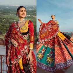 Girl in Traditional Chaniya Choli for Navratri Stock Photo  Image of  durga attractive 198220394