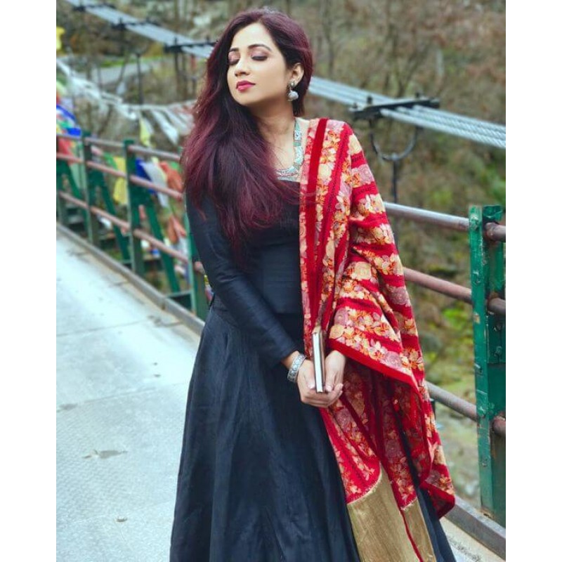 gown with banarasi dupatta online